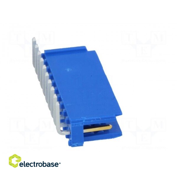 Socket | wire-board | male | PIN: 10 | 2.54mm | THT | Dubox® | 3A | FCI image 7