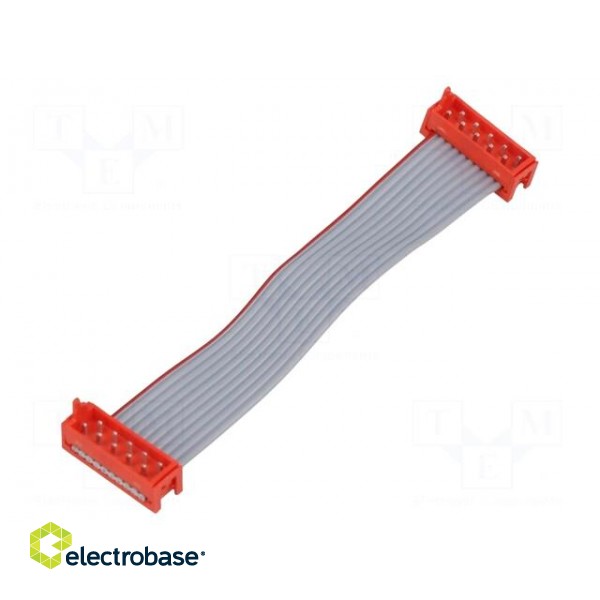 Cable: ribbon cable with connectors | PIN: 10 | Layout: 2x5 | plug