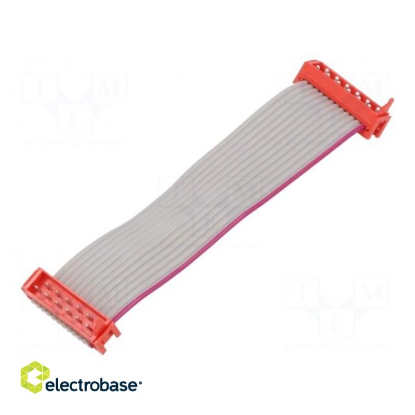Cable: ribbon cable with connectors | PIN: 12 | Layout: 2x6 | plug