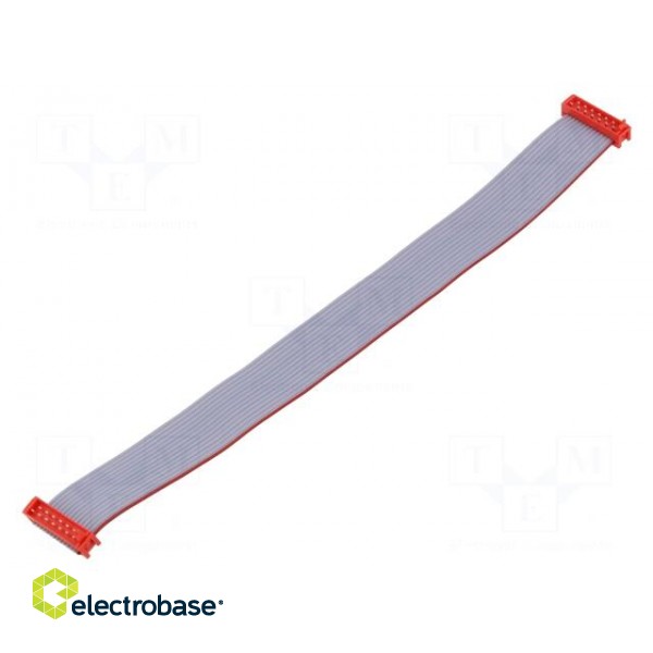 Cable: ribbon cable with connectors | PIN: 14 | Layout: 2x7 | plug