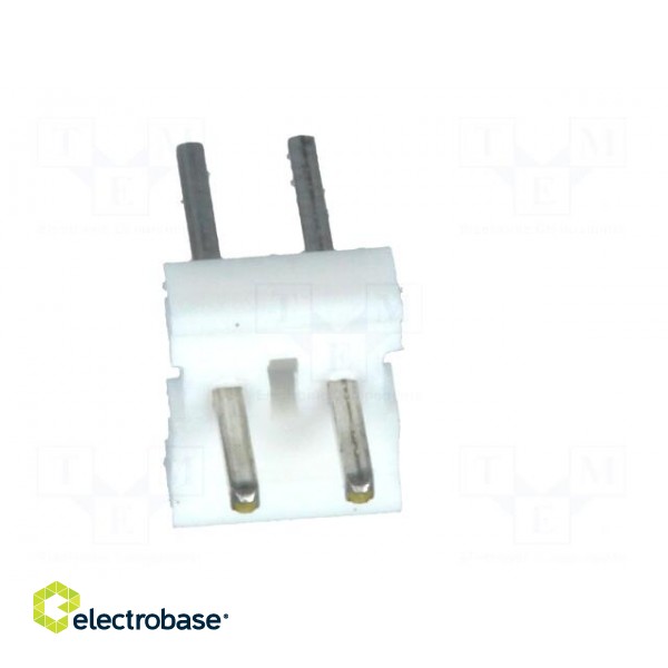 Socket | wire-board | male | PIN: 2 | 2.54mm | THT | MTA-100 | tinned image 5