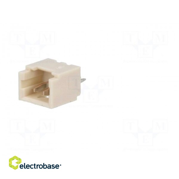 Socket | wire-board | male | PicoBlade™ | 1.25mm | PIN: 2 | THT | 1A | tinned image 2