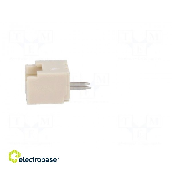 Socket | wire-board | male | PicoBlade | 1.25mm | PIN: 2 | THT | 1A | tinned paveikslėlis 3