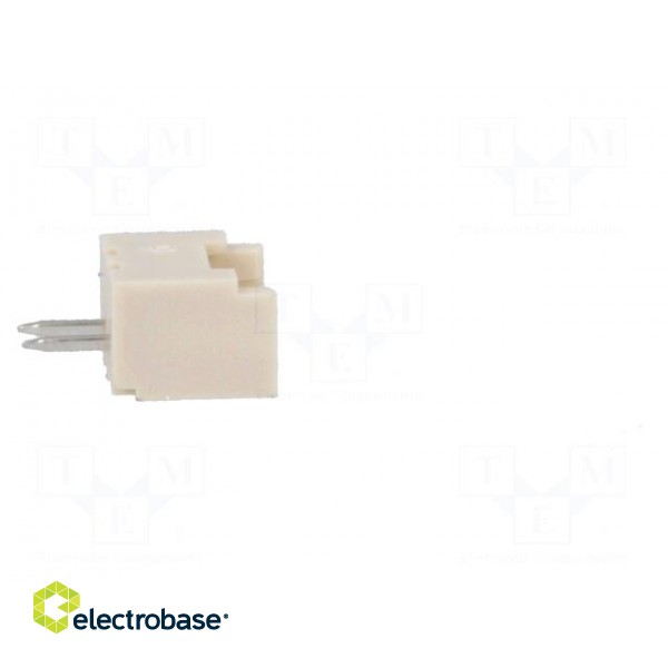 Socket | wire-board | male | PicoBlade | 1.25mm | PIN: 2 | THT | 1A | tinned paveikslėlis 7