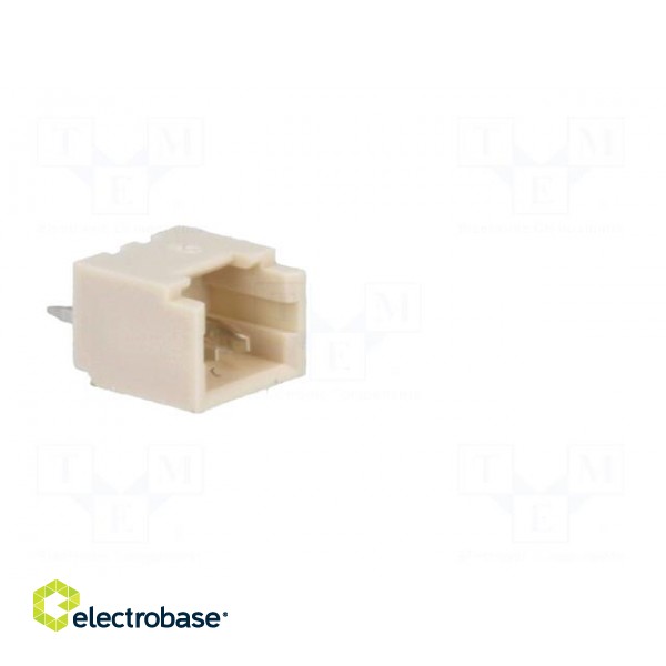Socket | wire-board | male | PicoBlade | 1.25mm | PIN: 2 | THT | 1A | tinned paveikslėlis 8