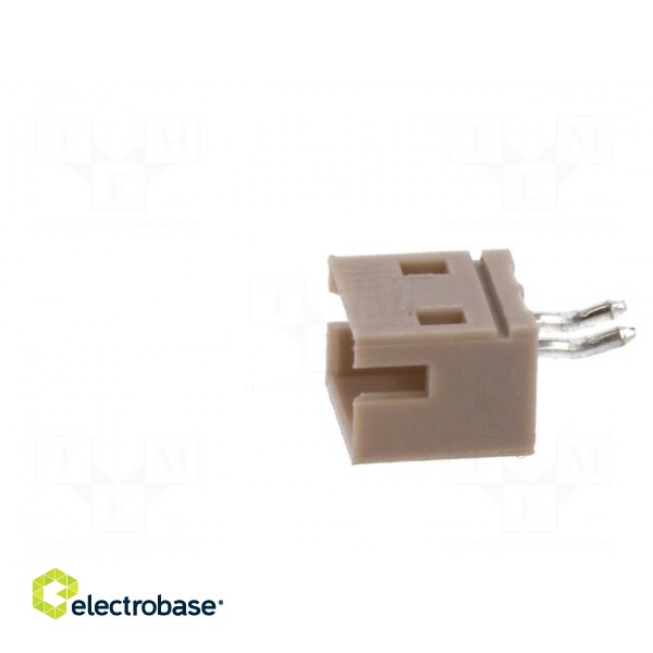 Socket | wire-board | male | 1.5mm | PIN: 2 | THT | 100V | 1A | tinned | 20mΩ image 3