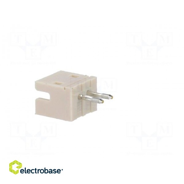 Socket | wire-board | male | ZH | 1.5mm | PIN: 2 | THT | 50V | 1A | -25÷85°C фото 4