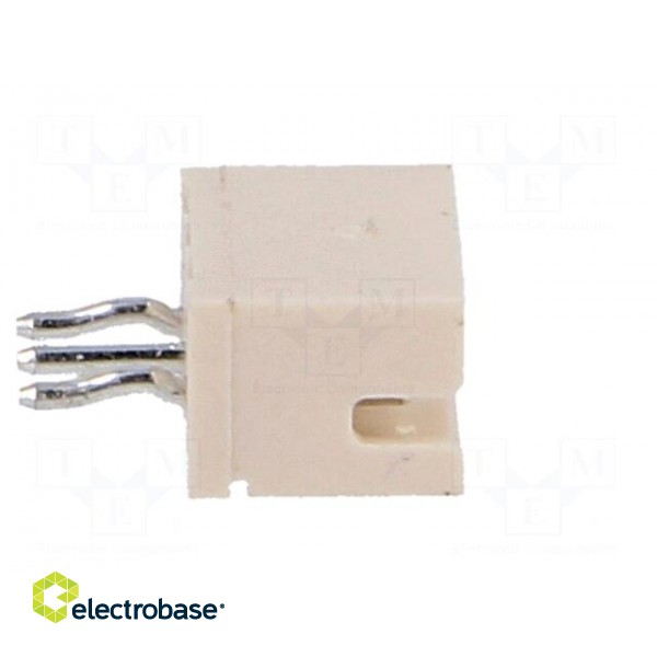 Socket | wire-board | male | ZH | 1.5mm | PIN: 3 | THT | 50V | 1A | -25÷85°C фото 7