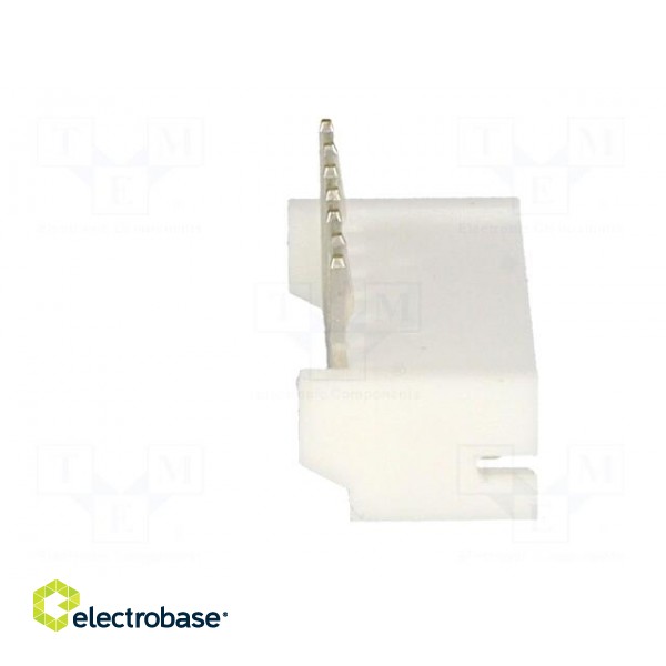 Socket | wire-board | male | PH | 2mm | PIN: 7 | THT | 100V | 2A | -25÷85°C фото 7