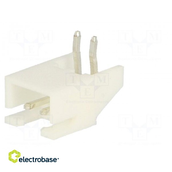 Wire-board | socket | male | A2501 | 2.5mm | PIN: 2 | THT | 250V | 3A | tinned image 2