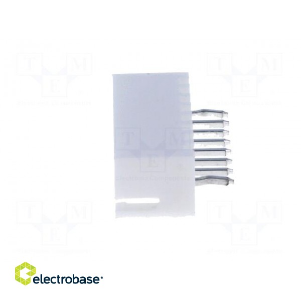 Socket | wire-board | male | A2501 | 2.5mm | PIN: 8 | THT | 250V | 3A | tinned image 3