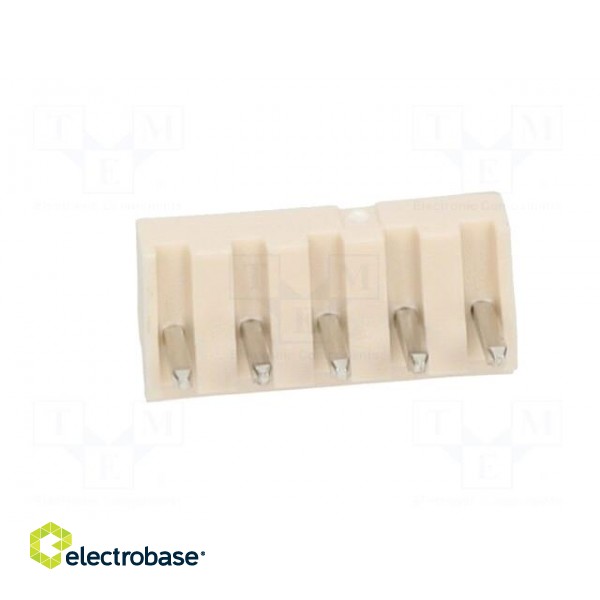 Wire-board | socket | male | Mini-Latch | 2.5mm | PIN: 5 | THT | 250V | 3A image 5