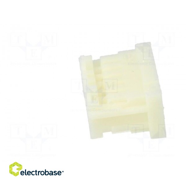 Wire-wire/PCB | plug | female | DF1B | 2.5mm | PIN: 12 | w/o contacts image 3