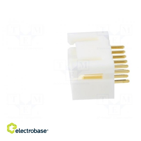 Socket | wire-wire/PCB | male | DF1B | 2.5mm | PIN: 12 | THT | on PCBs | 250V image 3