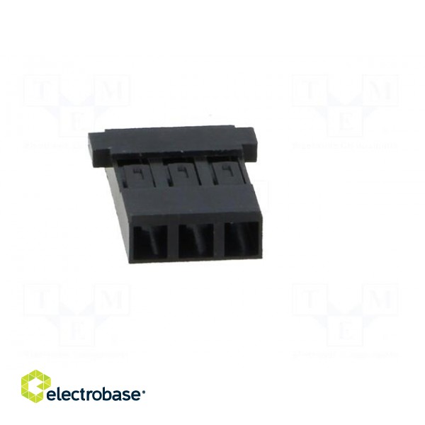 Plug | wire-board | female | Mini-PV | 2.54mm | PIN: 3 | w/o contacts paveikslėlis 5