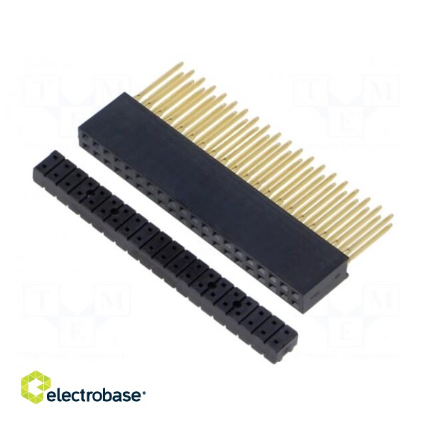 Socket | pin strips | female | 2.54mm | PIN: 40 | THT | on PCBs | straight