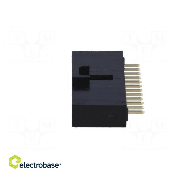 Socket | wire-board | male | 2.54mm | PIN: 12 | THT | 2.5A | tinned | 250V image 3
