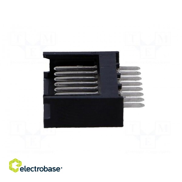 Socket | wire-board | male | AMPMODU MOD II | 2.54mm | PIN: 8 | THT image 3