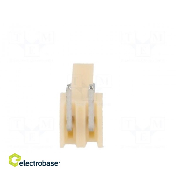 Socket | wire-board | male | NS25 | 2.54mm | PIN: 2 | THT | 250V | 3A | tinned image 5
