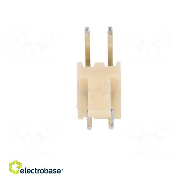 Socket | wire-board | male | NS25 | 2.54mm | PIN: 2 | THT | 250V | 3A | tinned image 9