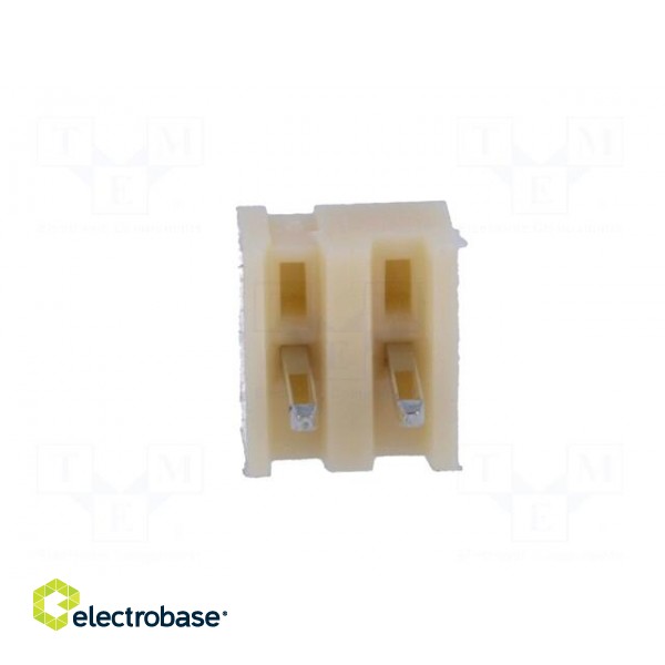 Socket | wire-board | male | NS25 | 2.54mm | PIN: 2 | THT | 250V | 3A | tinned image 5