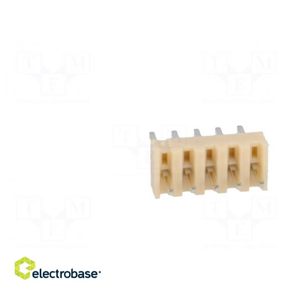 Socket | wire-board | male | NS25 | 2.54mm | PIN: 5 | THT | 250V | 3A | tinned image 5