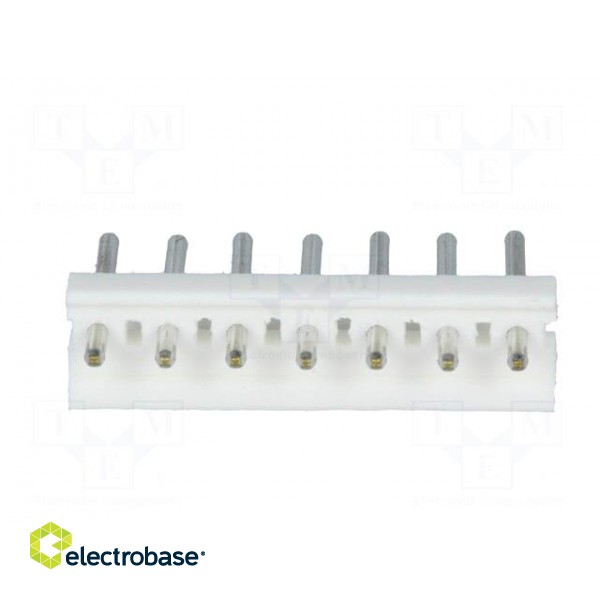 Socket | wire-board | male | MTA-156 | 3.96mm | PIN: 7 | round contacts фото 5