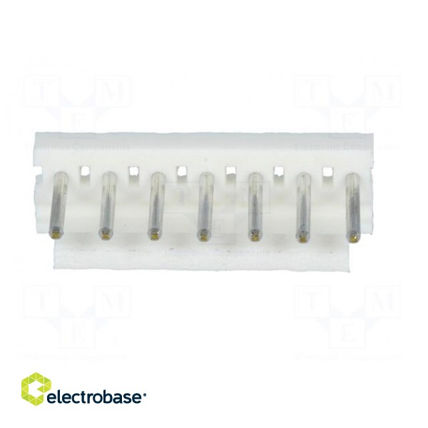 Socket | wire-board | male | MTA-156 | 3.96mm | PIN: 7 | round contacts фото 9
