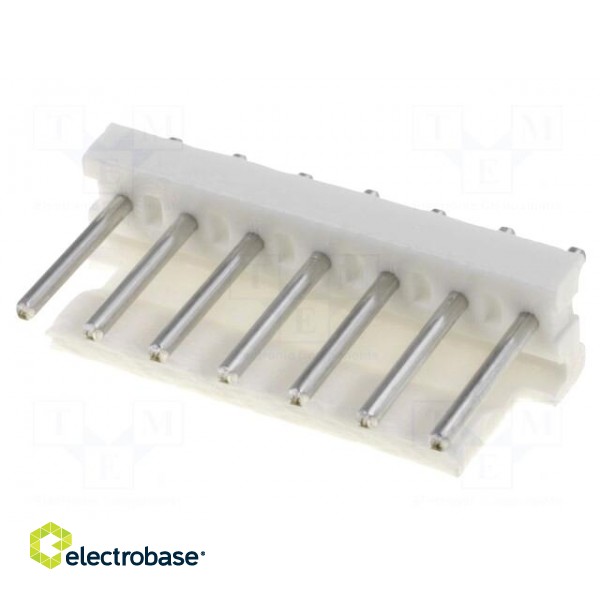Socket | wire-board | male | MTA-156 | 3.96mm | PIN: 7 | round contacts paveikslėlis 1