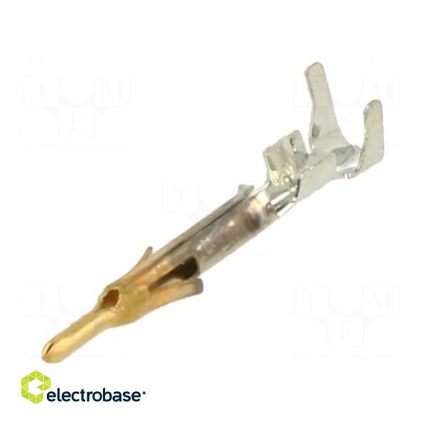 Contact | male | brass | selectively gold plated | 0.3÷0.8mm2 | bulk