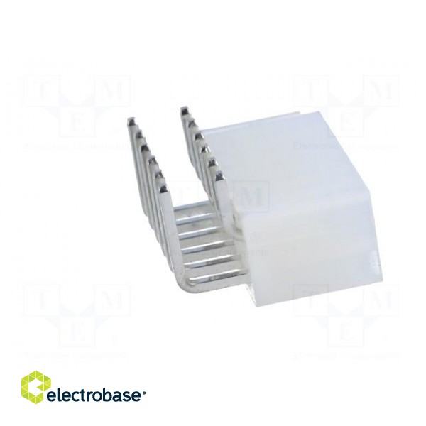 Socket | wire-board | male | MF42 | 4.2mm | PIN: 12 | THT | 7A | tinned image 7