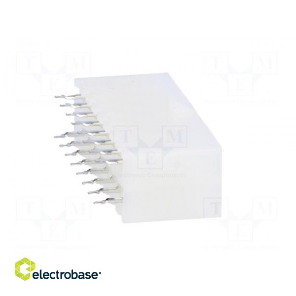 Socket | wire-board | male | N42G | 4.2mm | PIN: 16 | THT | 600V | 9A | tinned image 7