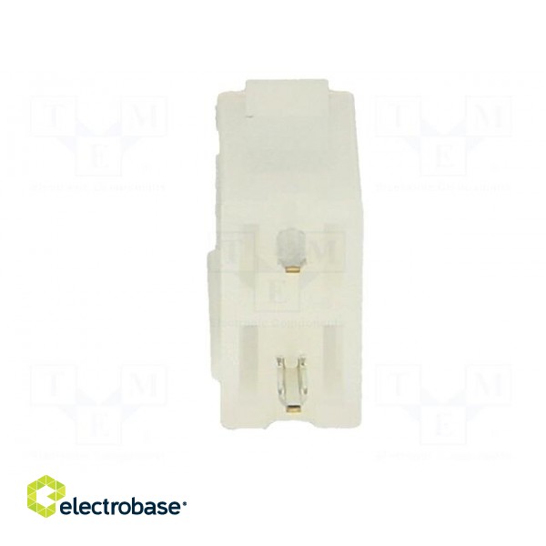 Socket | wire-board | male | N42G | 4.2mm | PIN: 2 | THT | 600V | 9A | tinned image 5