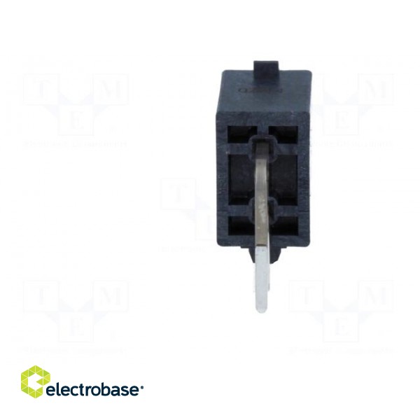 Socket | wire-board | male | Mega-Fit | 5.7mm | PIN: 2 | UL94V-0 | 23A | THT image 5