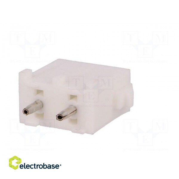 Socket | wire-board | male | Universal MATE-N-LOK | 6.35mm | PIN: 2 image 6