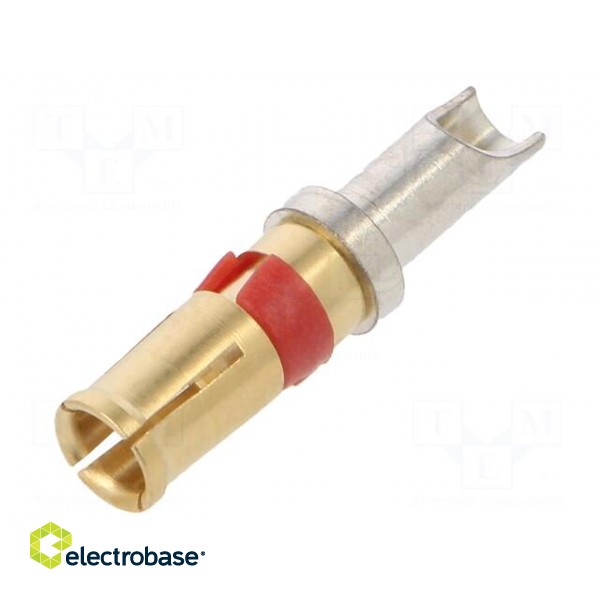 Contact | female | gold-plated | 12AWG | 20A