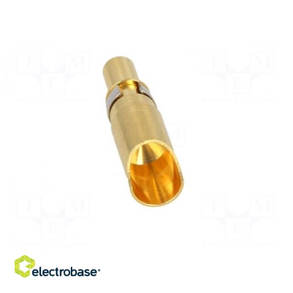 Contact | male | copper alloy | gold-plated | 10AWG÷8AWG | soldering image 5