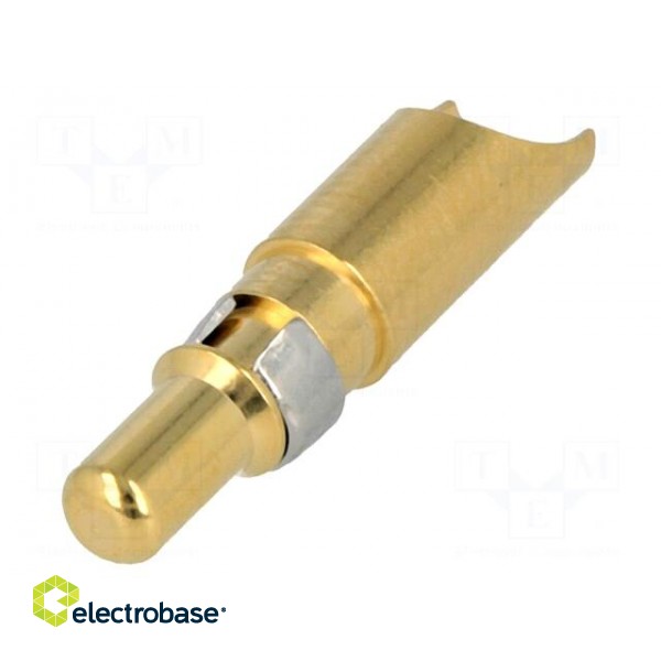 Contact | male | 10AWG÷8AWG | gold-plated | soldering | for cable | 40A image 1
