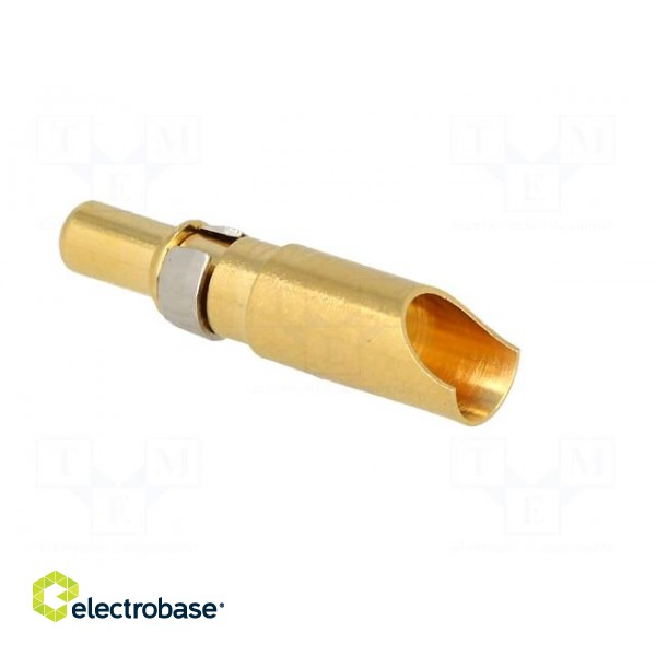 Contact | male | copper alloy | gold-plated | 10AWG÷8AWG | soldering image 4