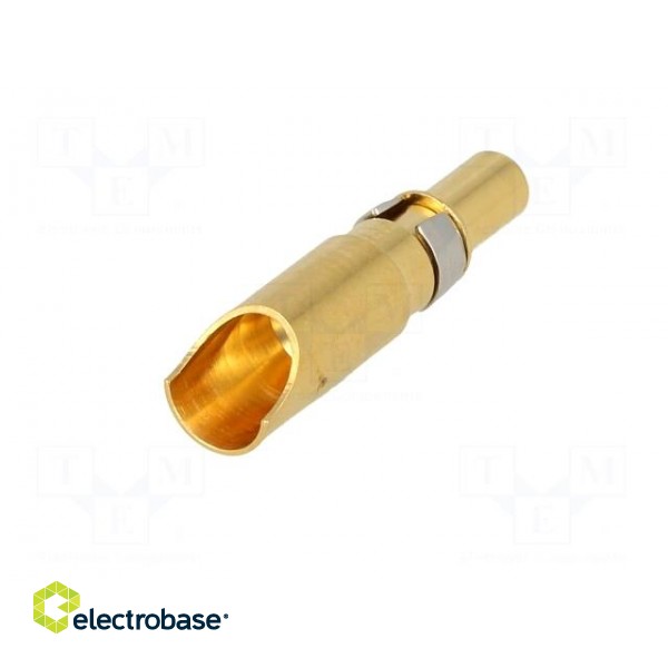 Contact | male | copper alloy | gold-plated | 10AWG÷8AWG | soldering image 6