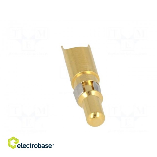 Contact | male | 10AWG÷8AWG | gold-plated | soldering | for cable | 40A image 9