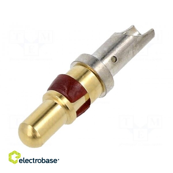 Contact | male | gold-plated | 12AWG | 20A