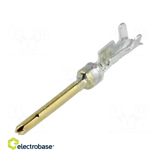 Contact | male | gold-plated | crimped | for cable