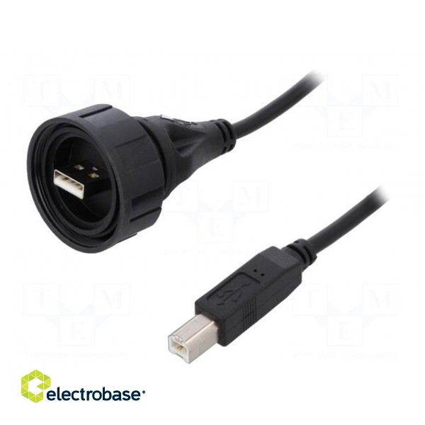 Cable | USB Buccaneer | USB A plug,USB B plug | 2m | IP68