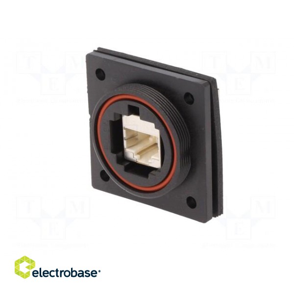 Coupler | Buccaneer Ethernet | PIN: 8 | Contacts: phosphor bronze image 3