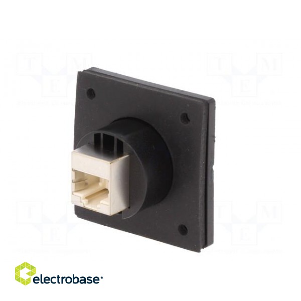 Coupler | Buccaneer Ethernet | PIN: 8 | Contacts: phosphor bronze image 7