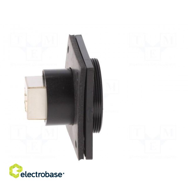 Coupler | Buccaneer Ethernet | PIN: 8 | Contacts: phosphor bronze image 8