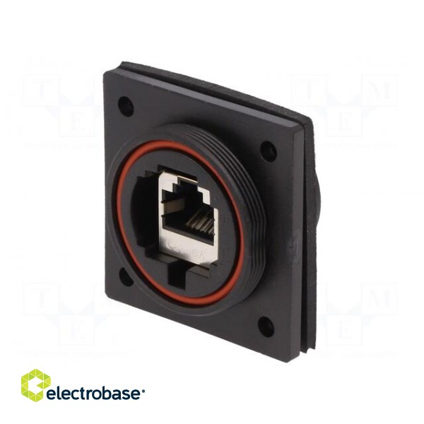 Coupler | Buccaneer Ethernet | PIN: 8 | Contacts: phosphor bronze фото 1