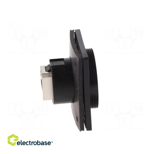 Coupler | Buccaneer Ethernet | PIN: 8 | Contacts: phosphor bronze paveikslėlis 8