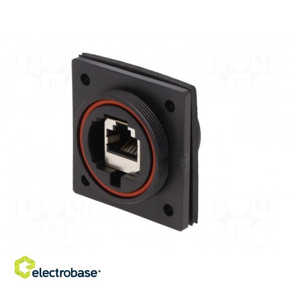 Coupler | Buccaneer Ethernet | PIN: 8 | Contacts: phosphor bronze фото 3
